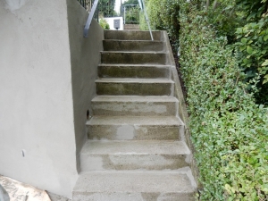 Renovier+Aussbesserung aussen13).JPG